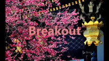 Breakout (January 2004 - March 2004)