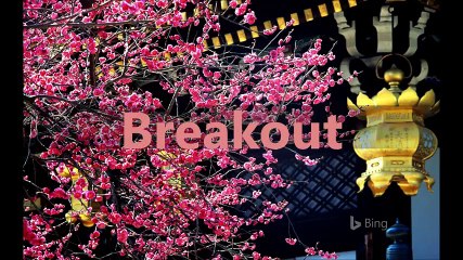 Breakout (January 2004 - March 2004)