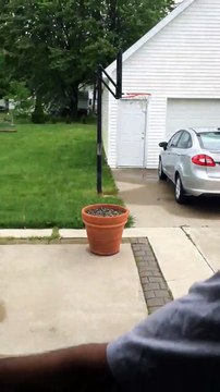 Ce chien ne veut pas rentrer à la maison et a trouvé une bonne cachette