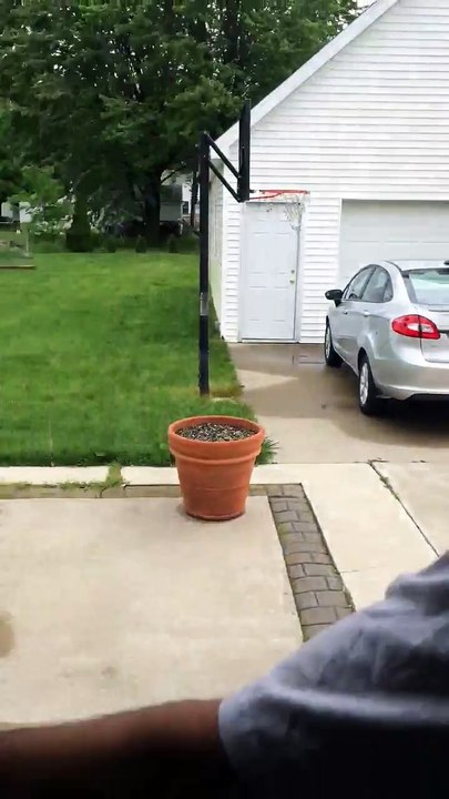 Ce chien ne veut pas rentrer à la maison et a trouvé une bonne cachette