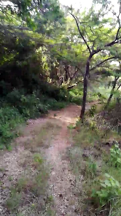 Time laps of the coast of Lake st lucia in south Africa