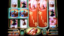 Wizard of Oz Ruby Slippers Slot Bonus Compilation