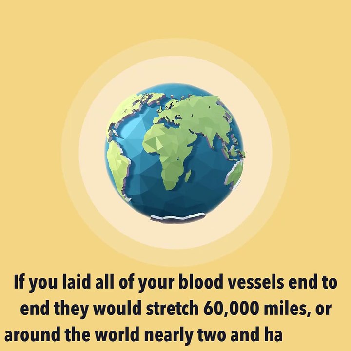 Did You Know? Futusion | DIMIC | Future Vision | BRIGHT SIDE  | BuzzFeedVideo | 5-Minute Crafts | 7-Second Riddles | Natural Cures | Home Remedies for Health | Natural Life Hacks | Natural Ways | Life Hacks | 2 Minute Tips