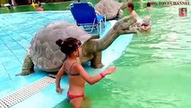 Water park funny video. Kids playing with water guns. Video new