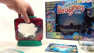 Aqua Dragons Deep Sea Habitat (Update - Day 12)..just keep swimming!
