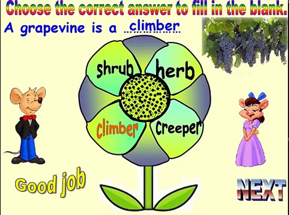 SCIENCE FOR CLASS 1 PLANTS AROUND US