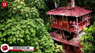 20 Incredible Tree Houses You Should Visit