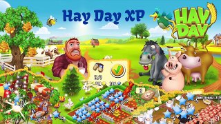 Hay Day - How to get XP - Experience to Level Up.
