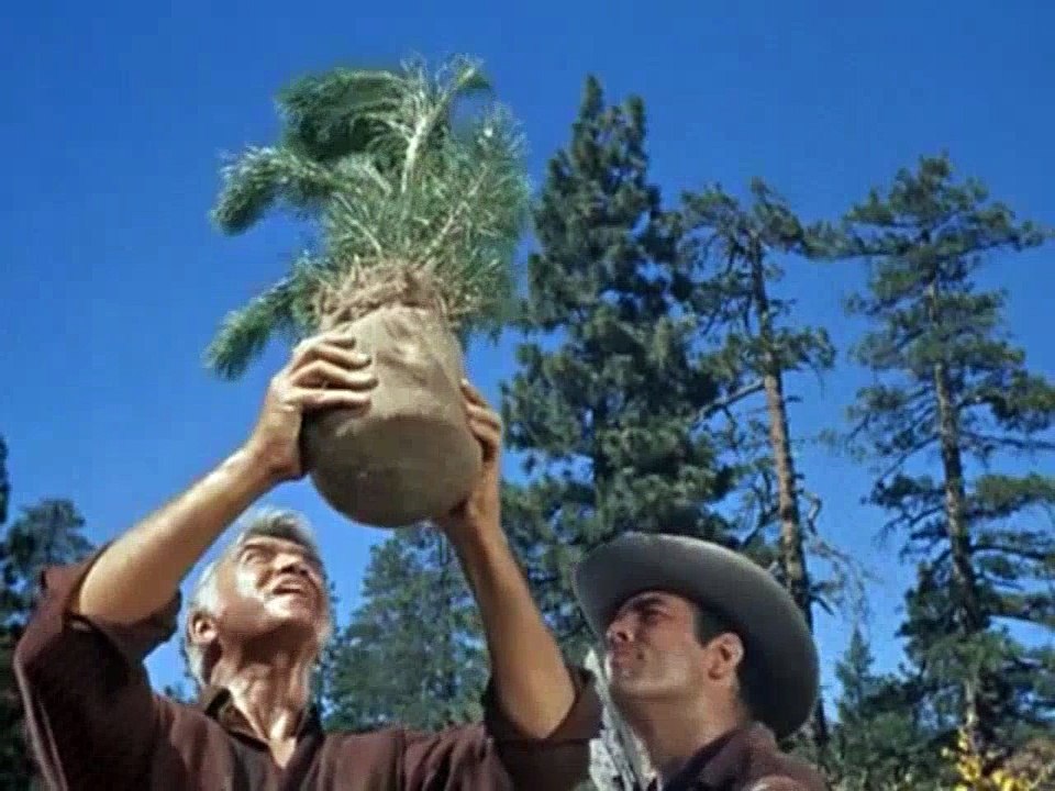 Bonanza - S01E09