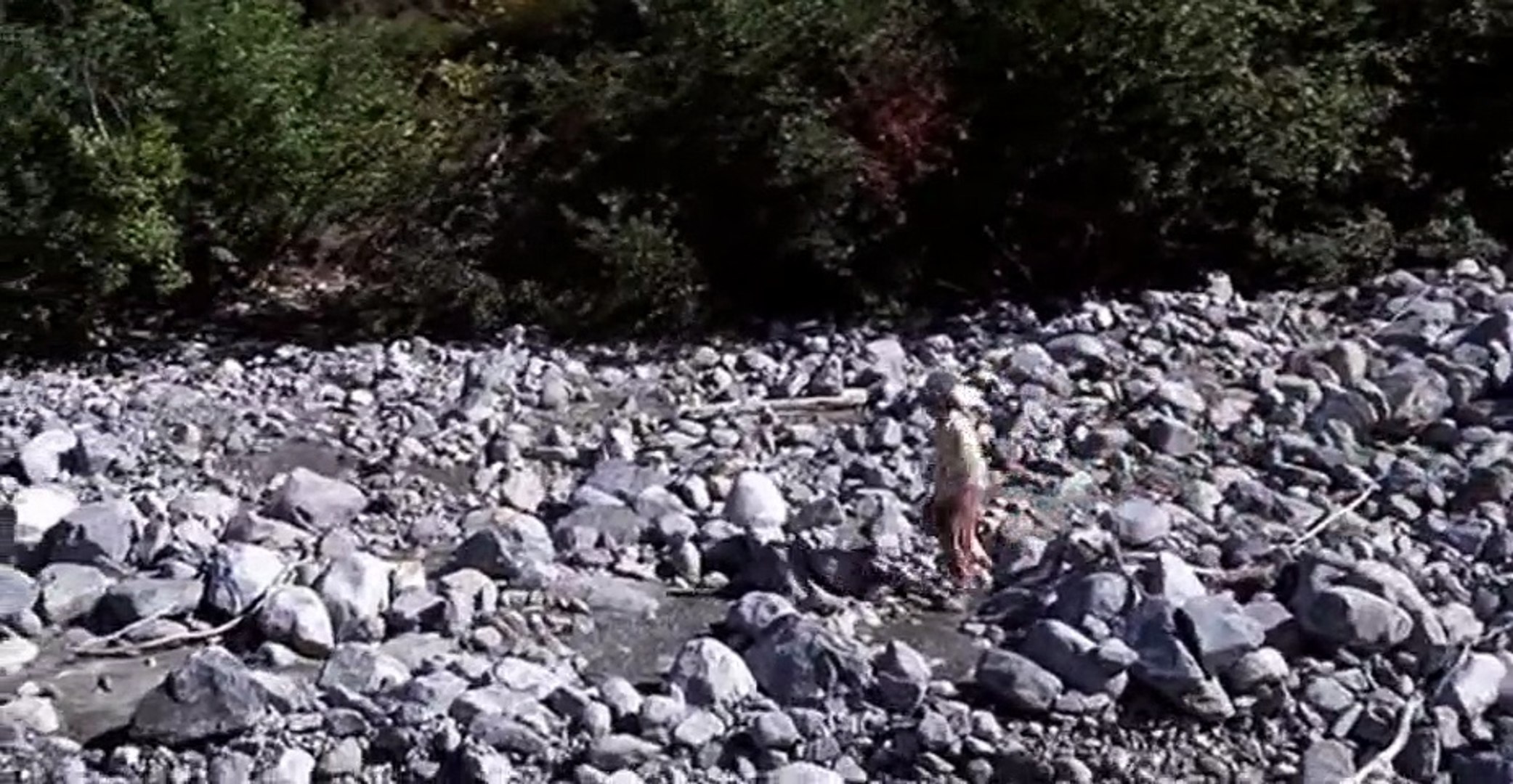 Gold Diggers: The Secret Of Bear Mountain - Trailer 