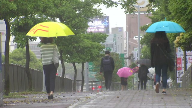 [날씨] 휴일 전국 비바람...남해안·제주 폭우 / YTN
