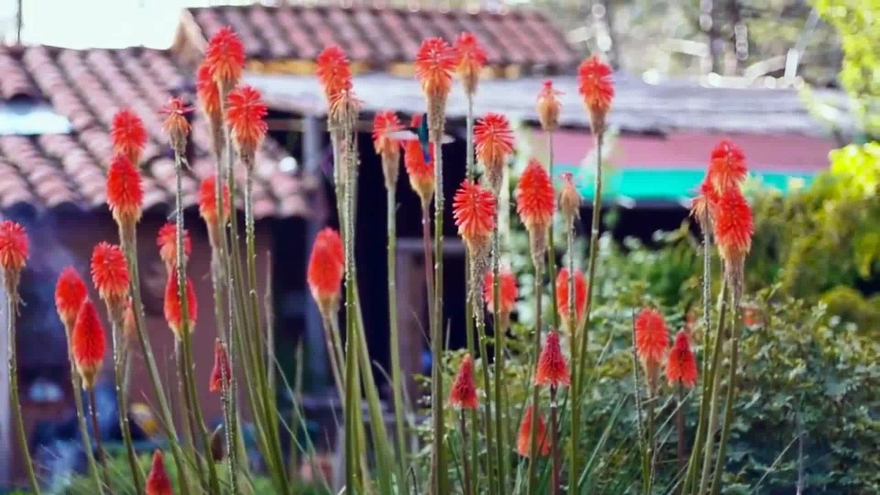 CUZCO,PERU.HD
