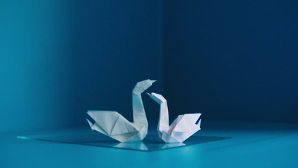 Julia Adams - origami