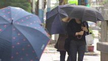 [날씨] 제주도 호우경보...오늘 전국 강풍 동반 비 / YTN