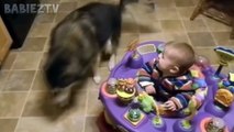 Bébés et chiens adorables jouant ensemble