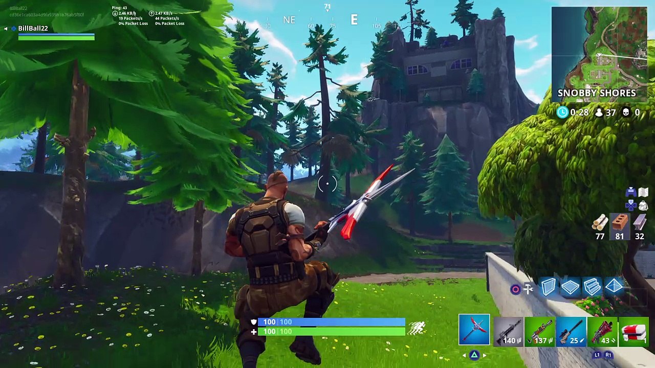 Fortnite dub