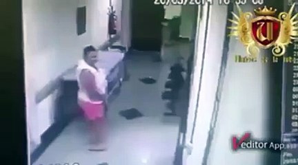 Como es posible que un toro realize semejante cosa 