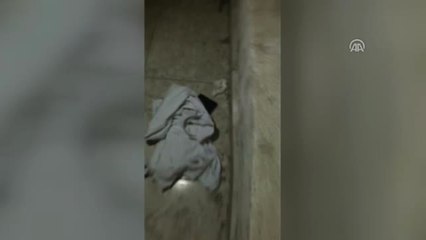 Fetö'ye Ait 118 Hücre Evine Yönelik Operasyon: 72 Gözaltı