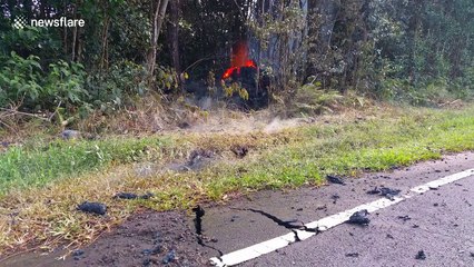 Lava and steam spew from side of cracked road in Hawaii