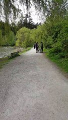 Man Caught Stealing Baby Goose