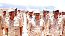 Saudi team in Socotra as UAE presence angers Yemen