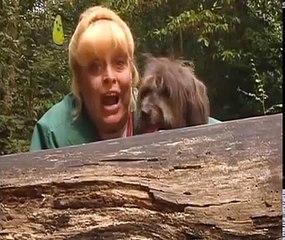 Come Outside: Series 2: Useful Holes