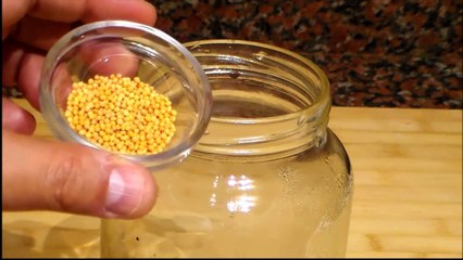 أفضل طريقة لتحضير كبيس او مخلل البندورة الخضراء Green Tomato Pickles