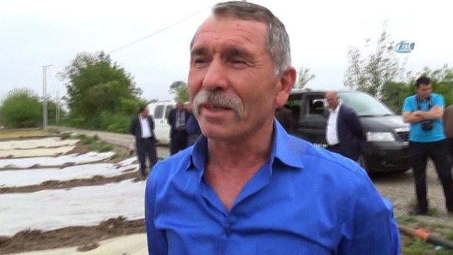 Bafra Ovası'nda karpuz ve kavun üreticileri dertli