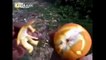 VIDEO DIVERTENTE - Come sbucciare un arancia in modo divertente
