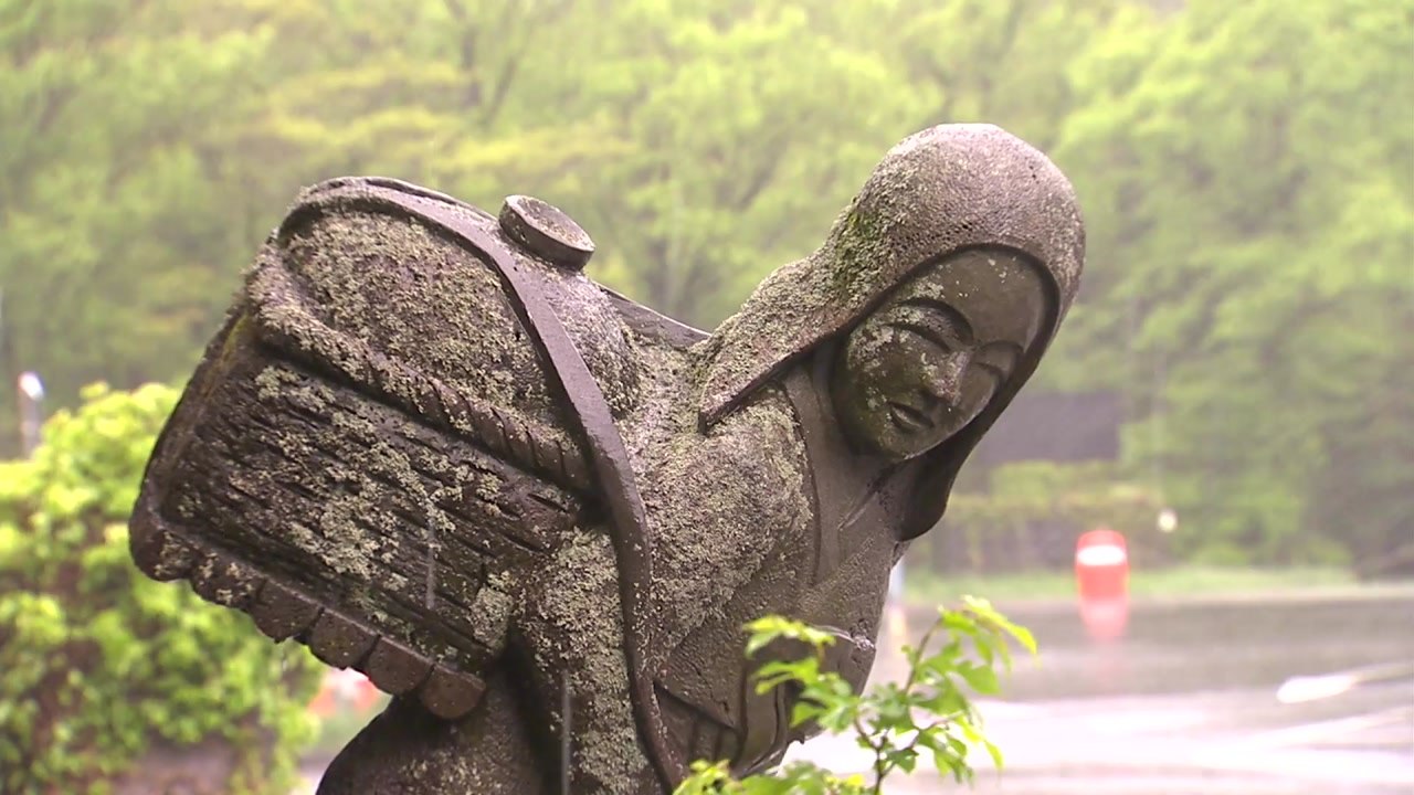 제주·남해안 폭우...항공기 운항 차질 / YTN