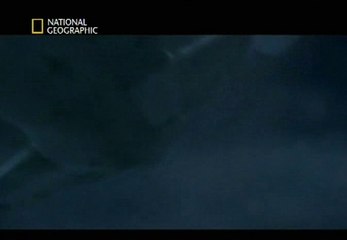 Indagini ad Alta Quota 03x08 EgyptAir 990