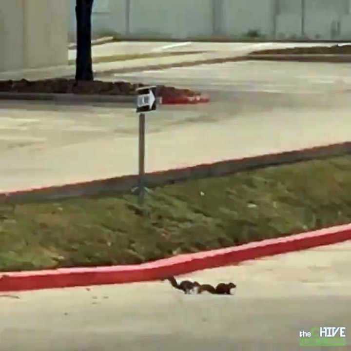 me trying to outrun my problems || submit your videos to be featured!