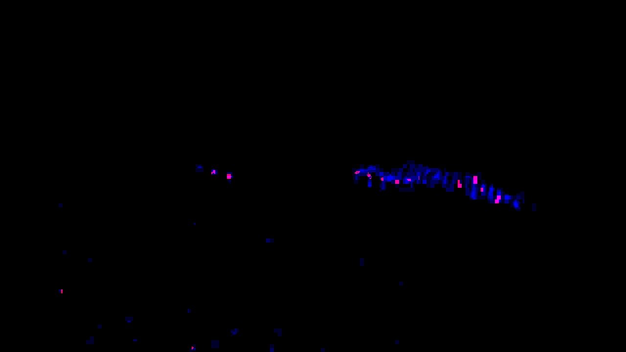 Premium Live In Japan 2009 - 소원이 있나요