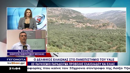 Παγκόσμιο ενδιαφέρον για τον ελαιώνα της Άμφισσας