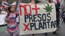 Milhares em Buenos Aires e Lima pela legalização da Canábis