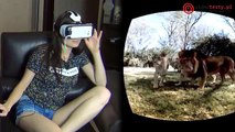 Samsung Gear VR - Prezentacja możliwości (Gry, Filmy 360°, Dema Technologiczne)