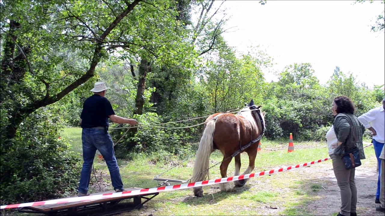 Concours de labours à Cavaillon