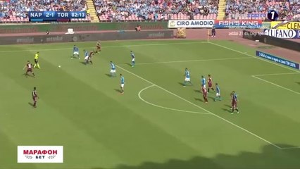 All Goals & highlights - Napoli 2-2 Torino - 06.05.2018 ᴴᴰ