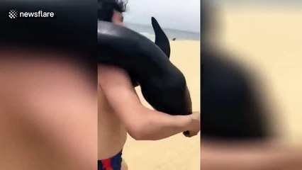 Nam du khách "vô tình" vướng vòng luân lí vì đã làm điều này trên bãi biển