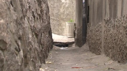 '4m 법' 바꿔 죽어가는 골목길 되살린다 / YTN