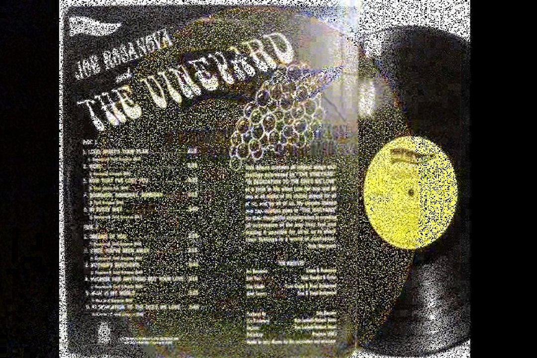 Joe Rosanova  &  The Vineyard   "Now That I've Lost You" 1968  US Psych Rock
