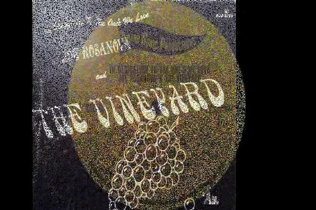 Joe Rosanova  &  The Vineyard  "Since You've Been Away"  1968 US Psych Rock