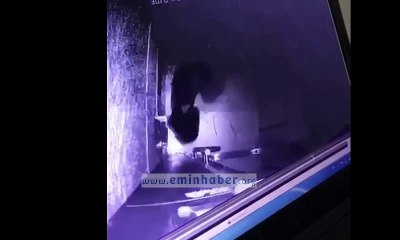 Apartmandan Ayakkabı Çalan Hırsızının Rahat Tavırları