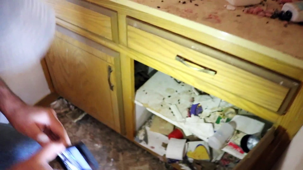 Fusil militaire trouvé dans une maison abandonnée ... la folie !
