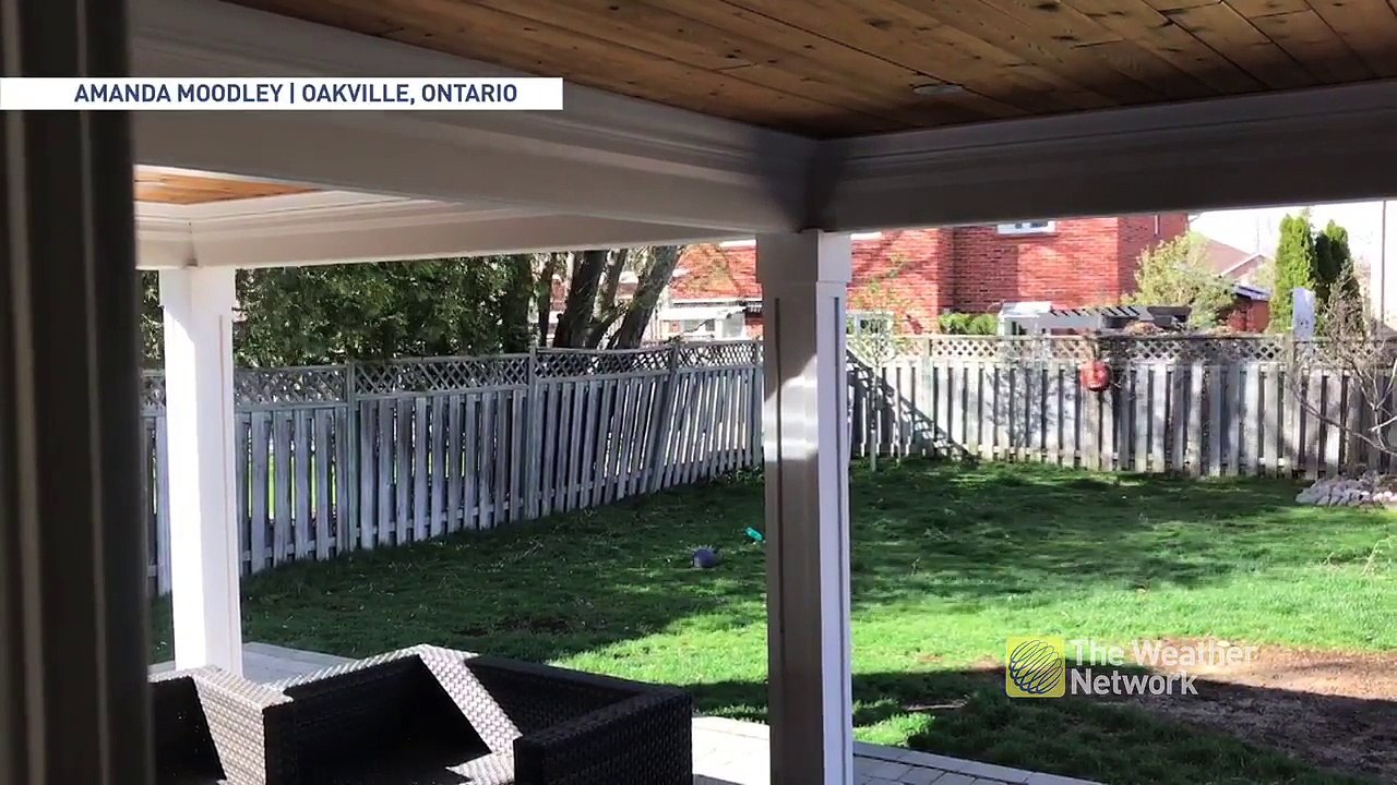 Tempête : ce jardin ravagé en quelques secondes par un arbre !