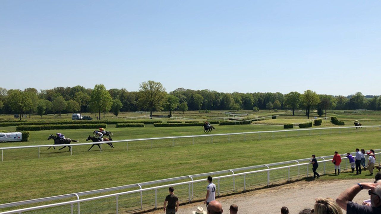 Course d’obstacles prix du haras des Éclos