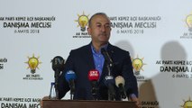 Dışişleri Bakanı Çavuşoğlu: 'Türkiye'yi ihya ettik' - ANTALYA