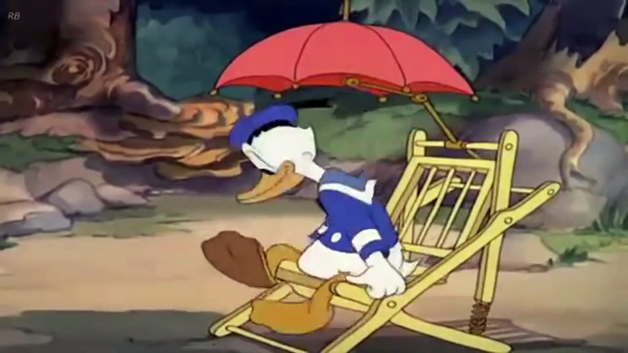 Donald Duck Donald's Vacation