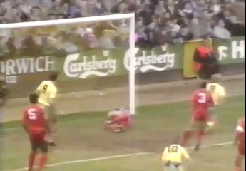 Norwich City - Wimbledon 01-01-1990 Division One