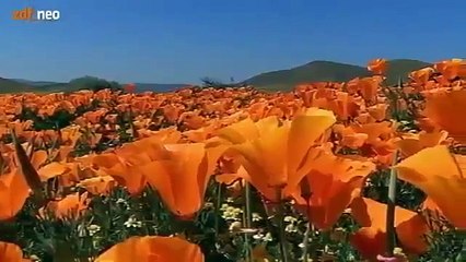 Vergangenheit, Gegenwart und Zukunft - Erde [Doku 2016]